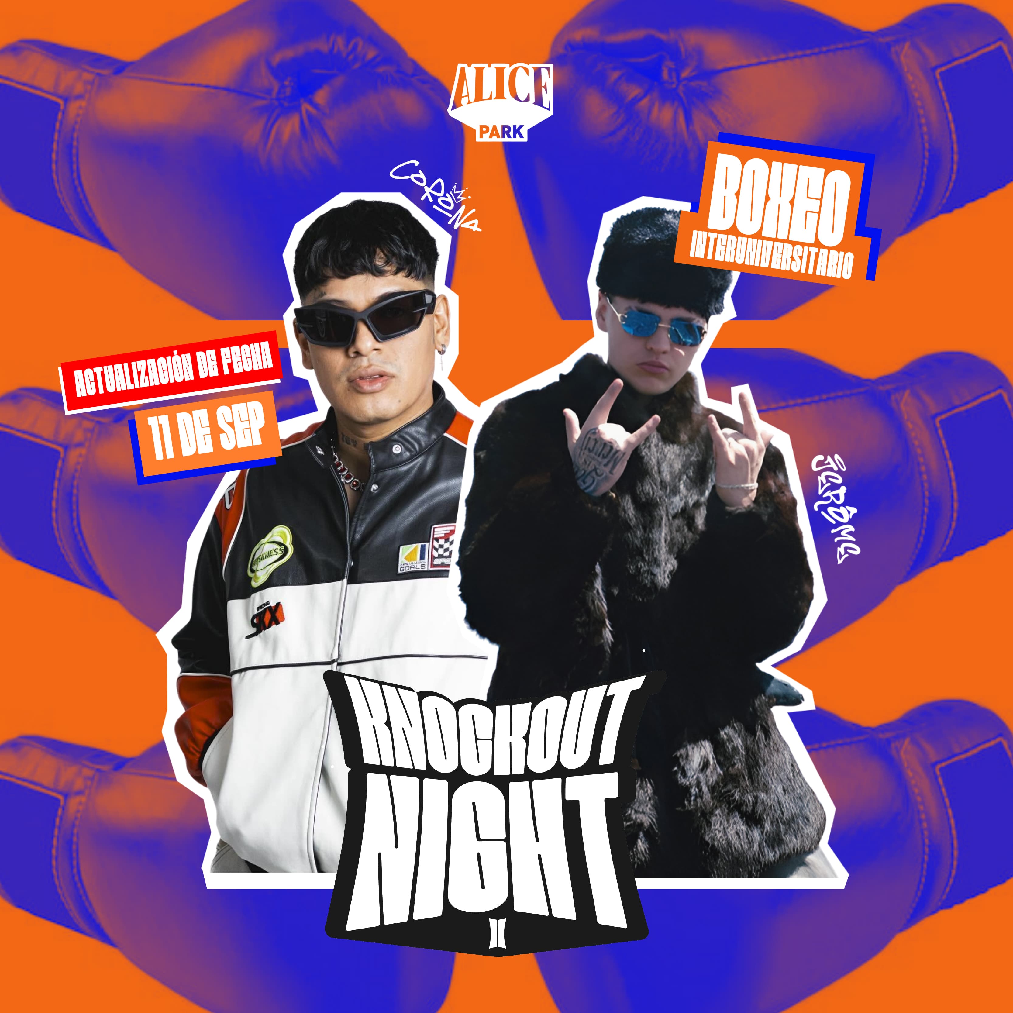 Knockout Night II image}